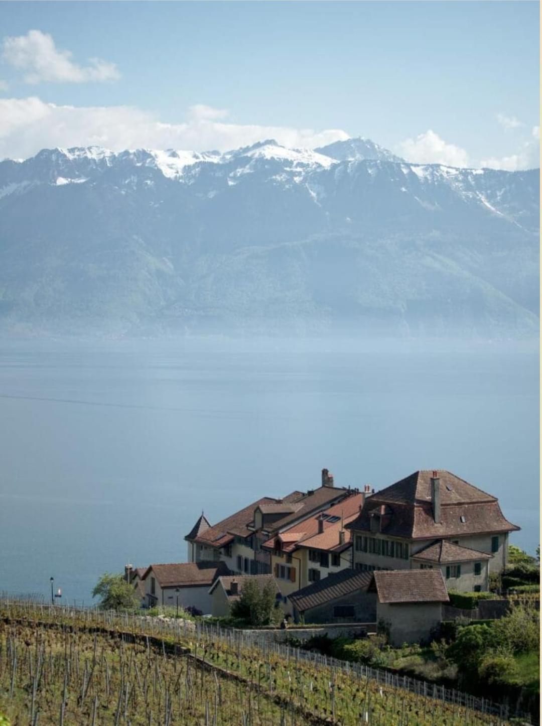 Superbe En Plein Centre A Gare Lausanne